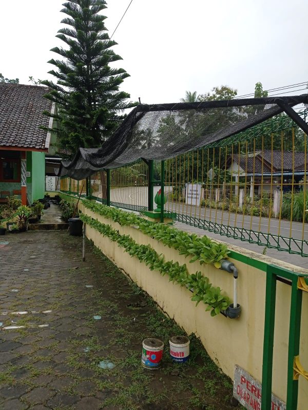 WhatsApp Image 2022-03-09 at 08.09.39